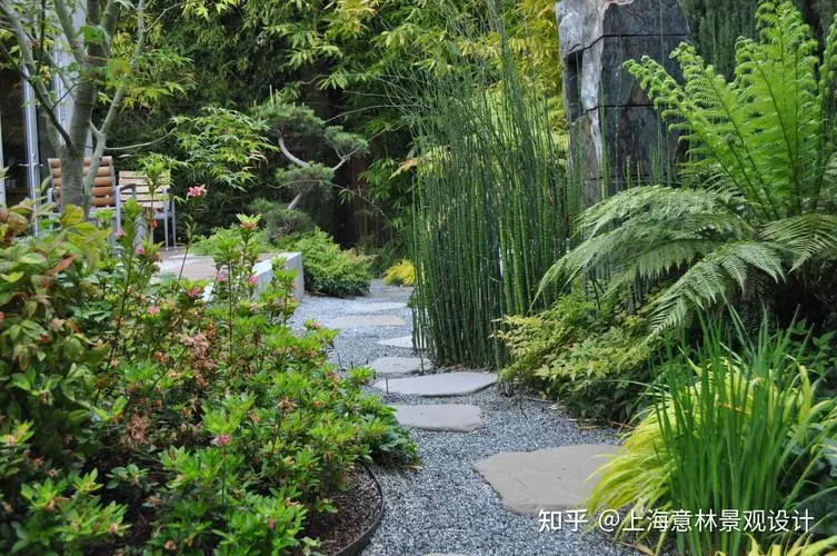水生植物绿化工程电话