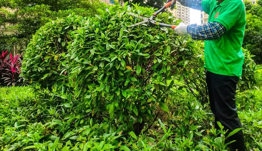 智能化园林绿化工程市场