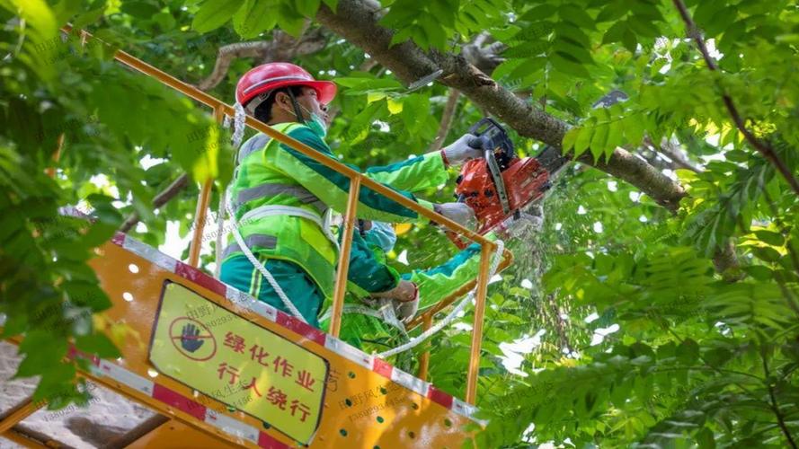 现代园林景观设计背景墙