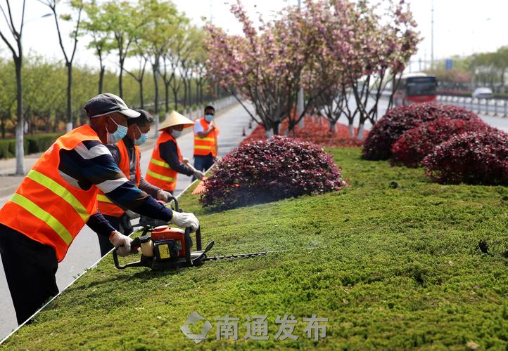 湘阴县御龙湾绿化工程